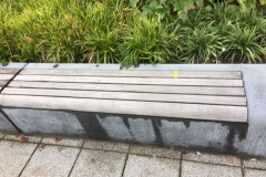 IMG-20170531-WA0024