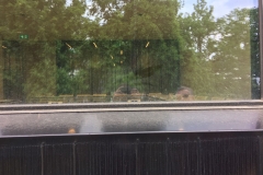 IMG-20170531-WA0050